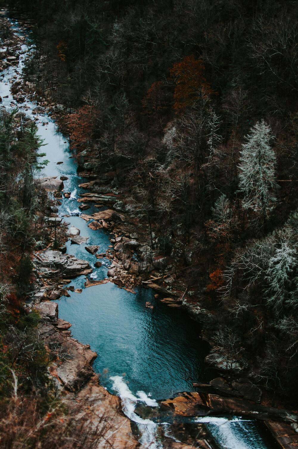 A headwater stream cutting through a forested gorge, seen from above